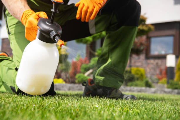 Best Rat Extermination Near Me  in West Hammond, NM