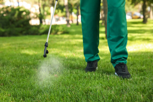 Best Mosquito Control Services  in West Hammond, NM