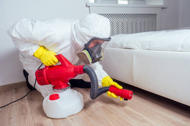 Best Affordable Pest Control Services  in West Hammond, NM