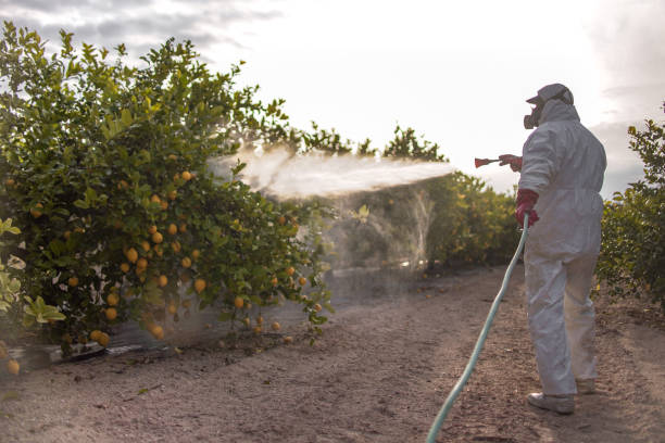Best Best Pest Control Companies  in West Hammond, NM