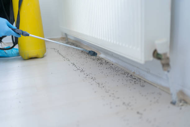 Best Exterminator Services  in West Hammond, NM