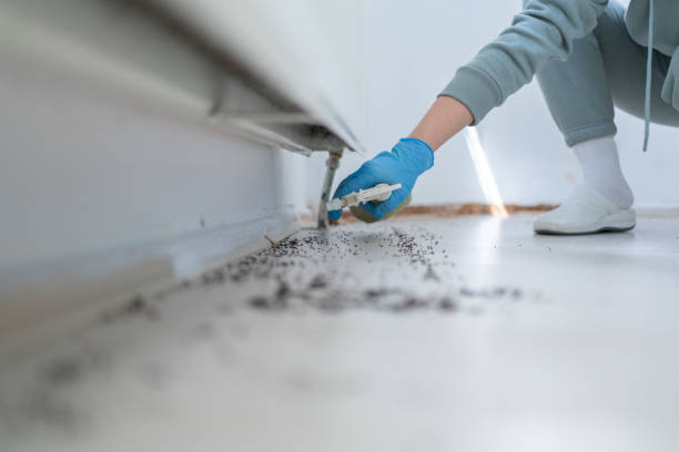 Best Pest Control for Businesses  in West Hammond, NM