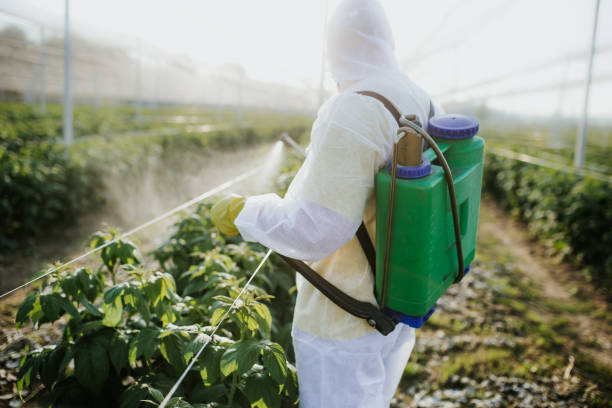 Best Commercial Pest Control Services  in West Hammond, NM